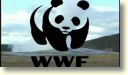 Pasaules dabas fonda (wwf) patiesais vaigs