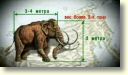 Boltunovs atrod mamuta skeletu