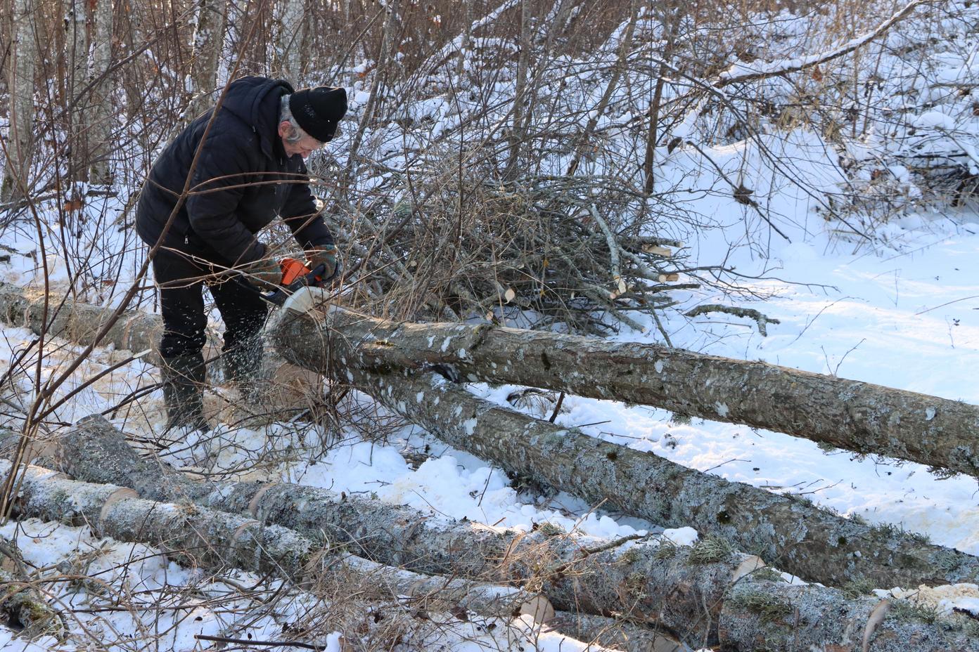 2026. gada 17. janvāra talka