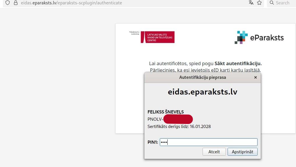 neSEB bankā spraudnis darbojas